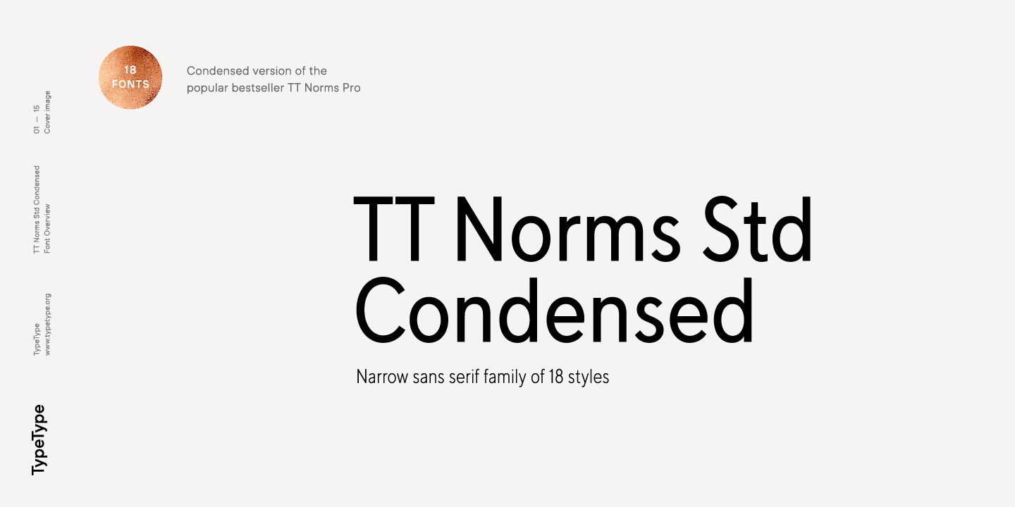 Beispiel einer TT Norms Std Condensed Extra Light Italic-Schriftart